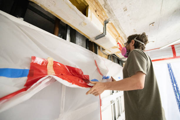Professional Mold Removal in Woxall, PA