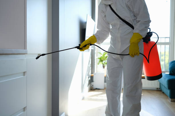 Best Residential Mold Inspection & Testing  in Woxall, PA