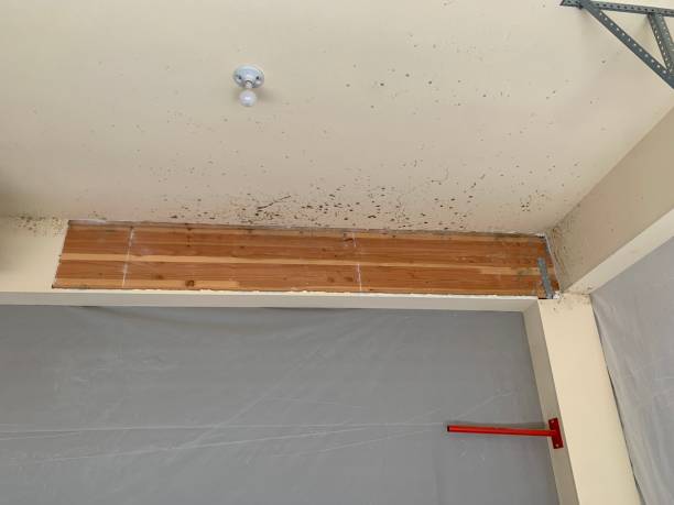 Best Indoor Air Quality Assessment  in Woxall, PA